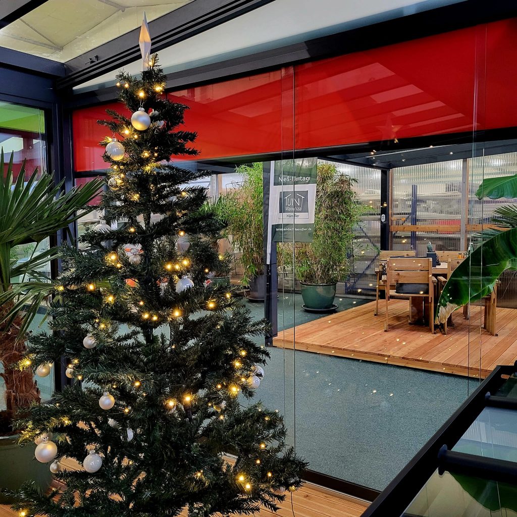 Weihnachtsbaum im eigenen Kaltwintergarten